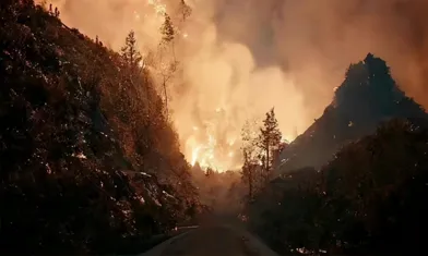 O Incêndio Selvagem Foi Apagado. Que Outras Aplicações As Câmeras De Imagem Térmica Podem Ter Além Do Campo De Segurança?